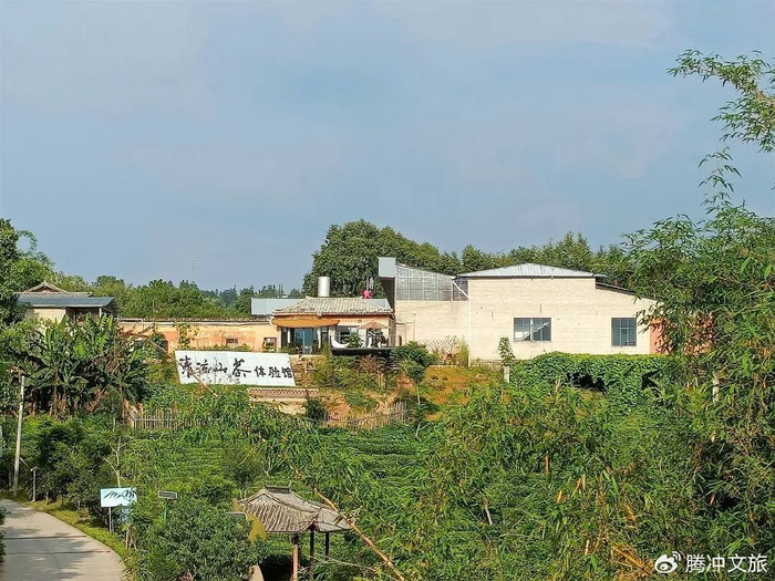 蒲川:发展茶旅融合 壮大集体经济|清河|清凉山|腾冲_新浪新闻