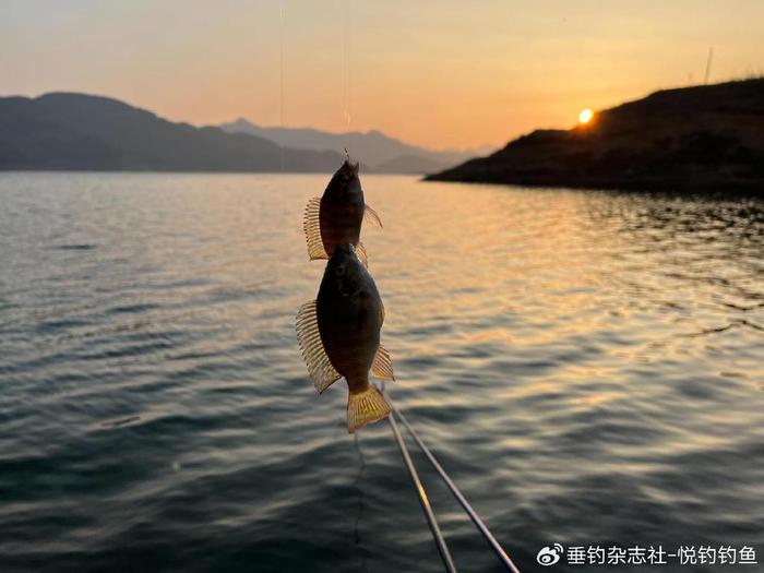 2021万峰湖钓鱼新消息图片