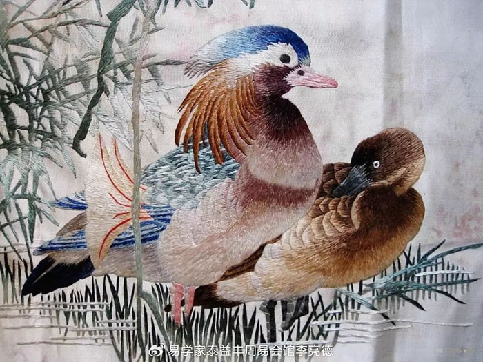 中国人必知华夏文明中华文化中国知识大全63集