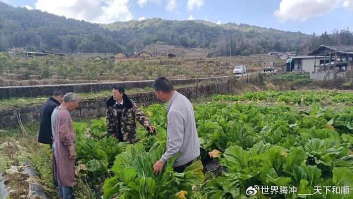 腾冲市芒棒镇大水塘村:乡村振兴就是这个"味"