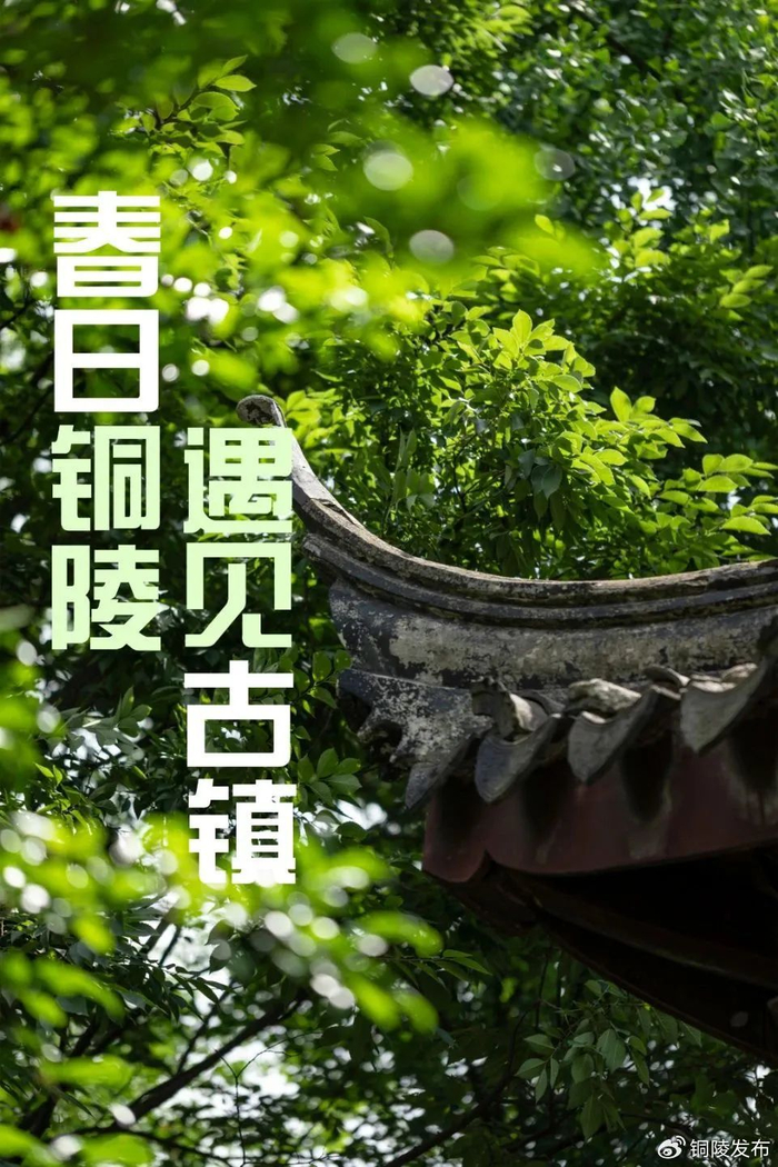 春游江淮请来铜陵丨在春日的铜陵古镇我与江南复相逢