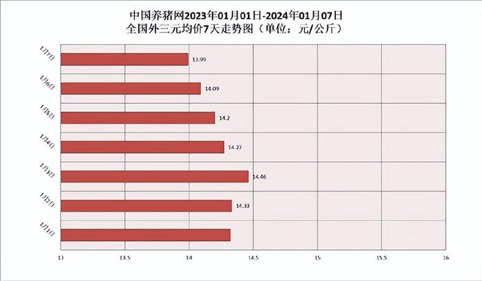 今日豬價