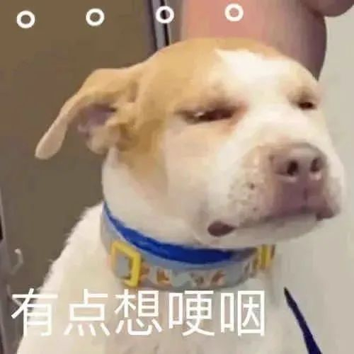 笑点不够沙雕?表情包来凑!