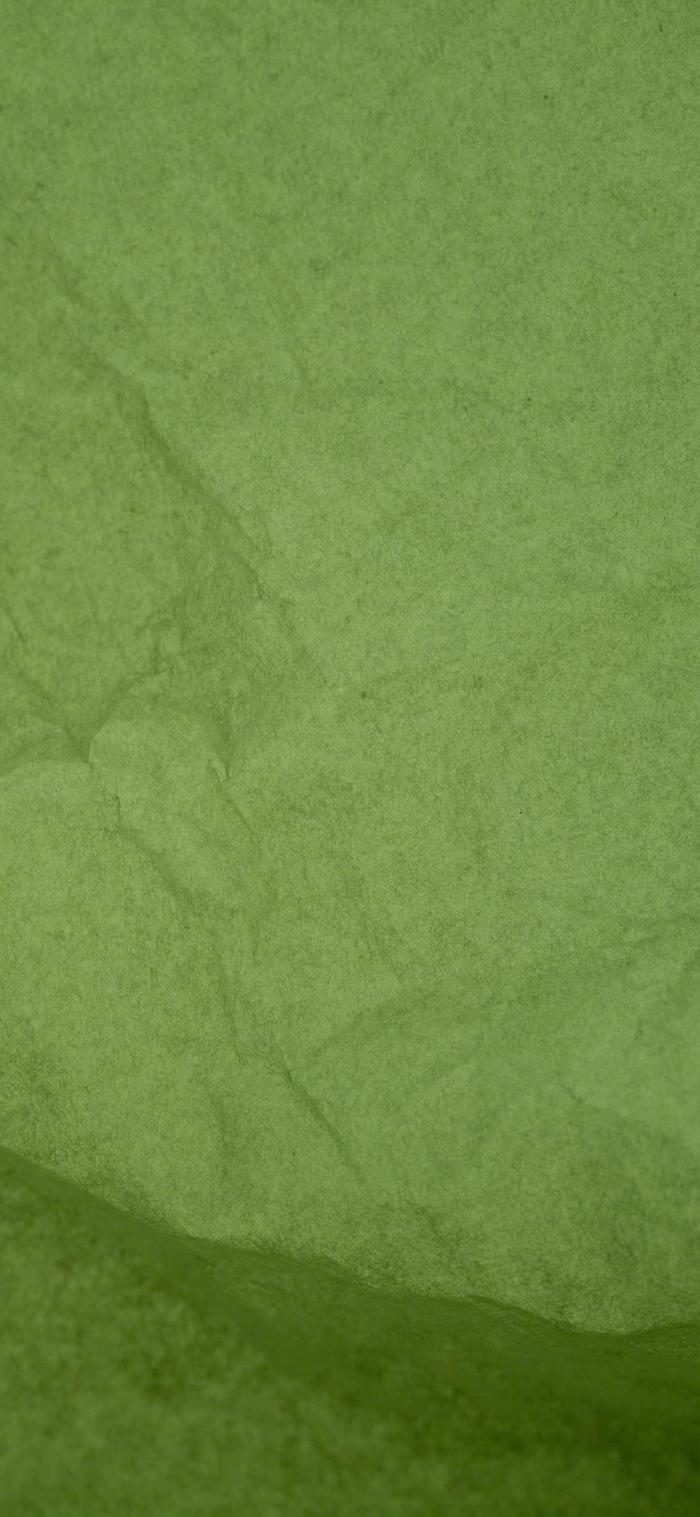 高清纯绿色壁纸 纯色图片