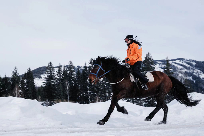 看到李冰冰在雪地上骑马我被她的帅气所征服