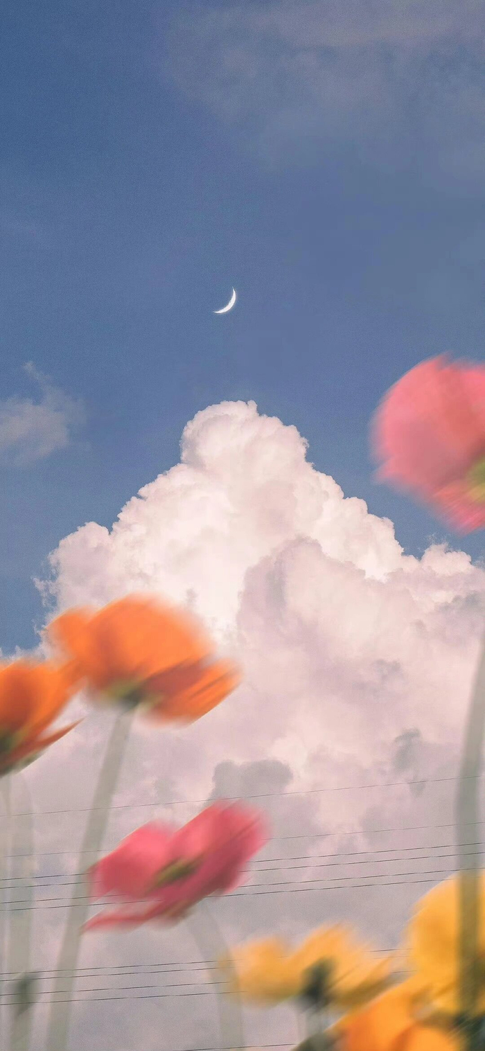 很哇塞的一组壁纸