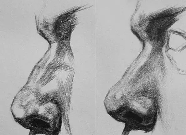 鼻子怎么画?不同角度鼻子的画法,看这一篇就够了!