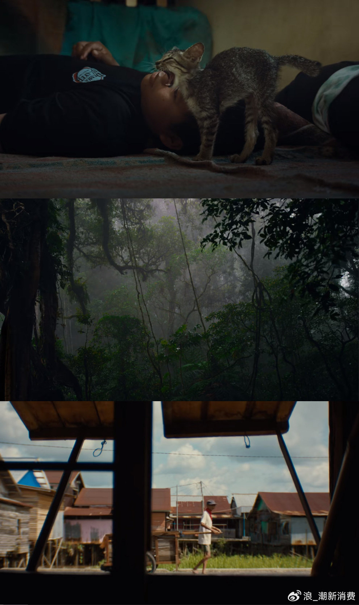 加里曼丹岛上的一块石碑,如何改变燕窝产业?