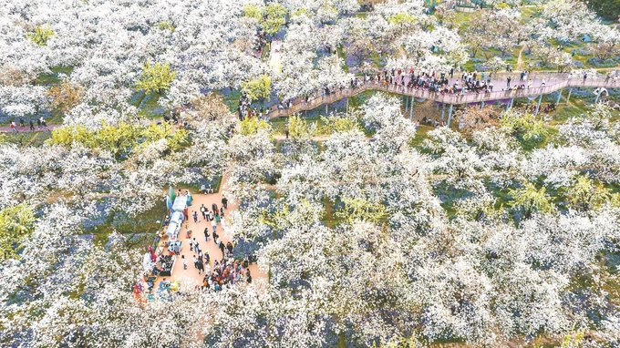 共享春光,清明旅游悄然生变|江苏省_新浪新闻