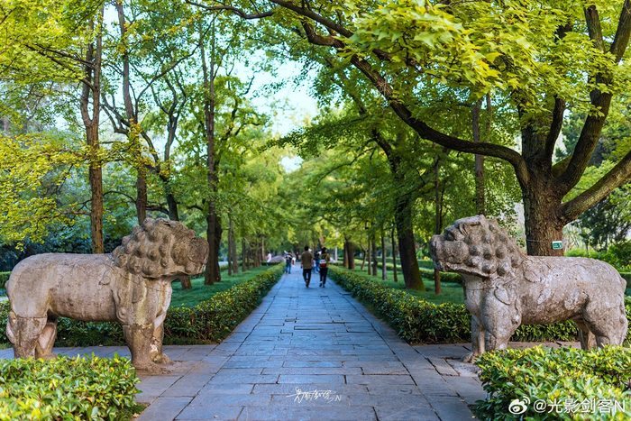 极美南京秋日晨光中的石象路