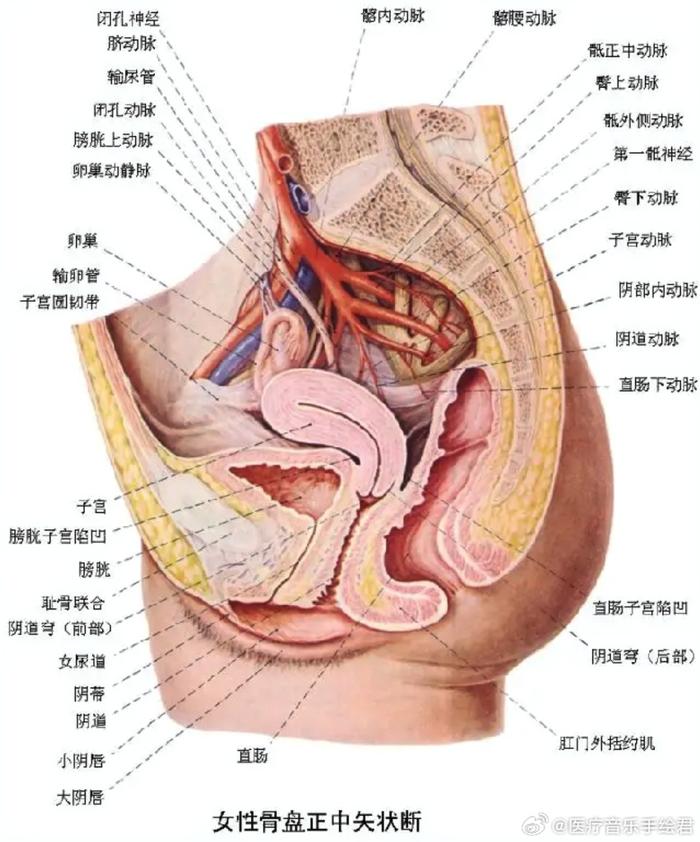 女性生殖道瘘图片