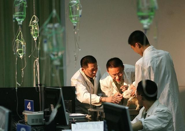 过来人告诉你:跟导师指导意见有分歧了怎么办?|科研|论文|期刊|直觉|出师_新浪新闻