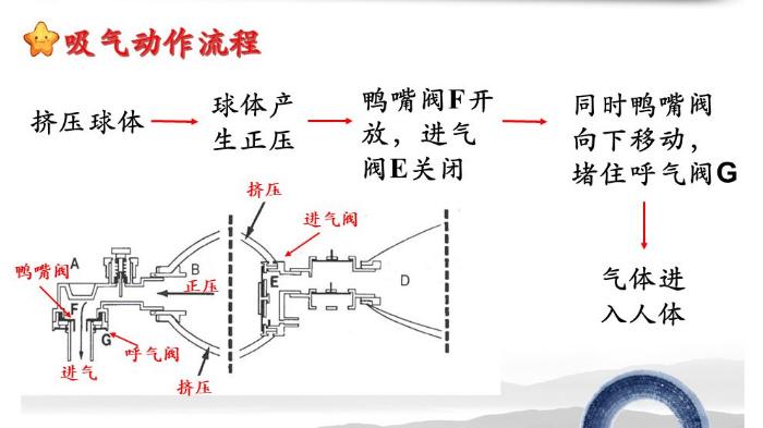 04,工作原理一种是不可拆卸简易呼吸器,仅供单一患者使用,不能拆卸