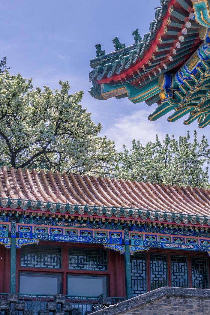 古建繁花,团城三白, 99北京北海公园 61 团城 摄影
