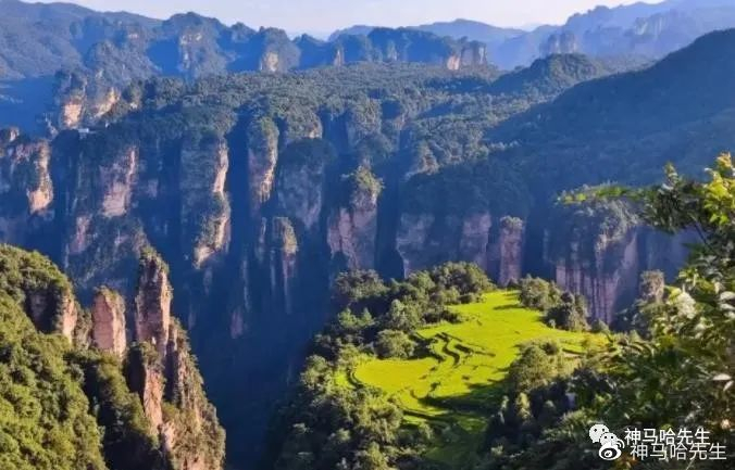同城快餐群加vx的隐秘江湖,揭秘即时餐饮社交的流量密码