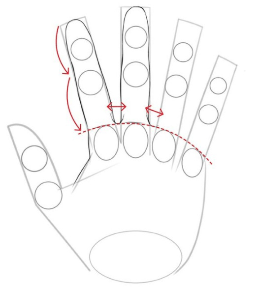 手控福利!超详细手部画法技巧.|手指|关节|画法_新浪新闻