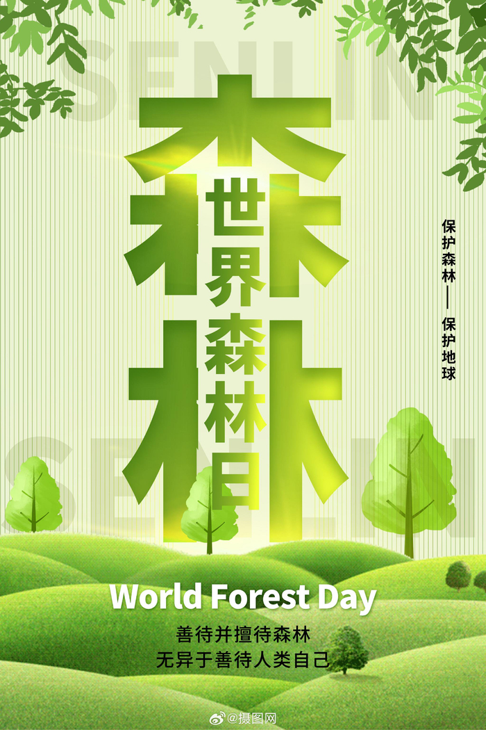 海报设计世界森林日海报模板版权素材by摄图网