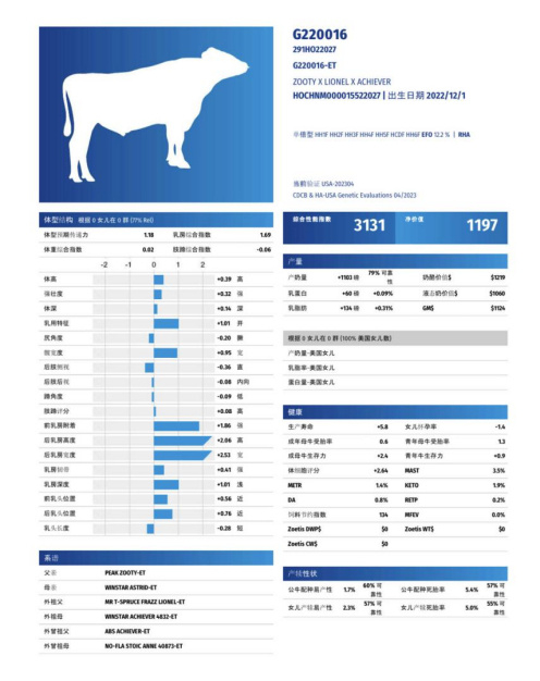 中国种牛历史性突破 优然牧业在呼和浩特培育出挺进美国35强种牛