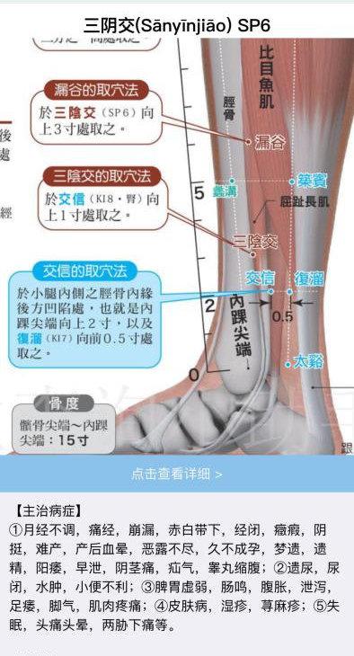 脚内踝位置图片