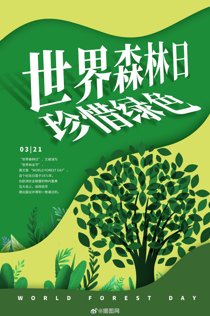 海报设计世界森林日海报模板版权素材by摄图网