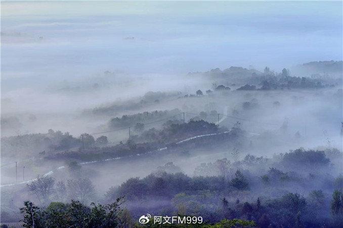 河南省信阳市新县 雾入仙境 山村朦胧如画