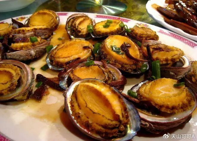 鲍鱼|功效|营养_新浪新闻