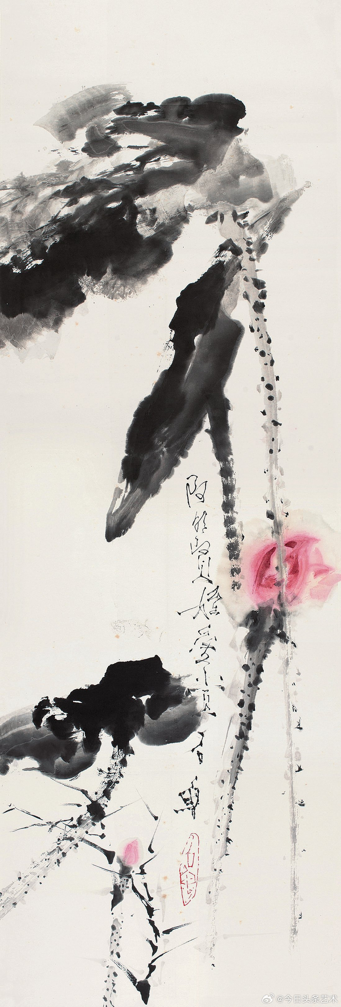 石鲁笔下的荷花