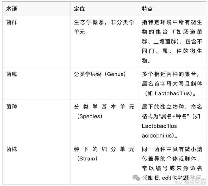 微生物菌群、菌属、菌种、菌株傻傻分不清？|术语|误区|层级|专利|亚型_新浪新闻