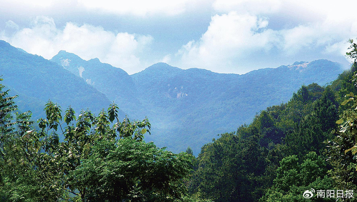 桐柏——生态淮源风光好文旅融合气象新__财经头条
