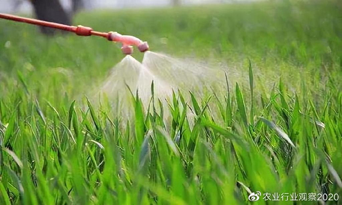 非洲蝗灾继续扩大吗？FAO官员称：虫群增百倍，3月...