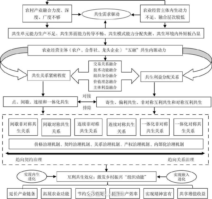 互利共生"是推动农村产业融合的基础动力,两者呈现出相互作用的关系