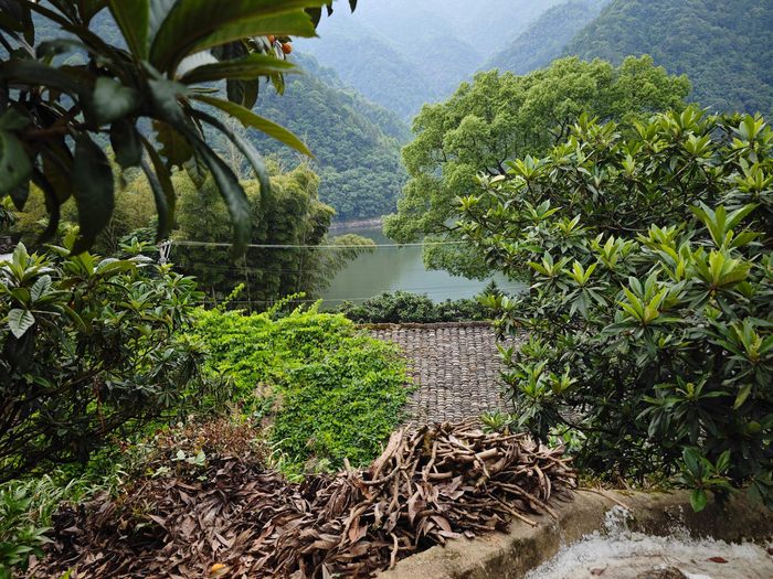 歙县 深渡镇 九砂村 七拐八拐的寻味之旅