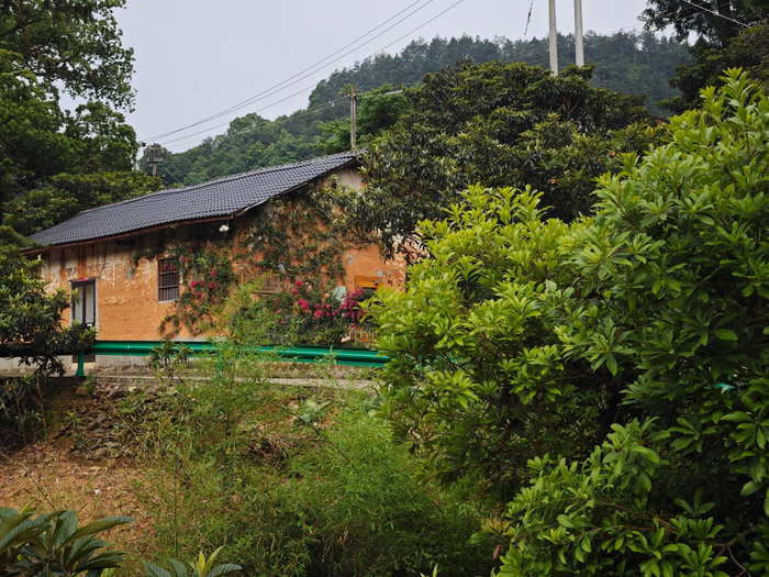 歙县 深渡镇 九砂村 七拐八拐的寻味之旅
