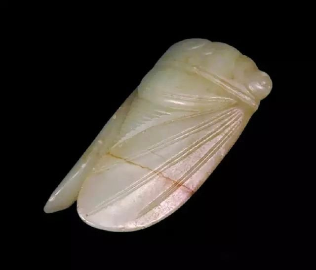 中国　古玉　蝉 中国古代玉蝉1、新石器时代玉蝉2、商代玉蝉3、西周玉蝉……|玉蝉|西周|新