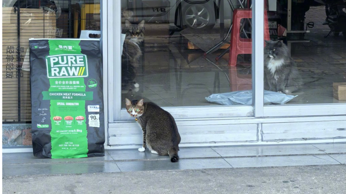 每周星座运势（12月29号-1月4号）