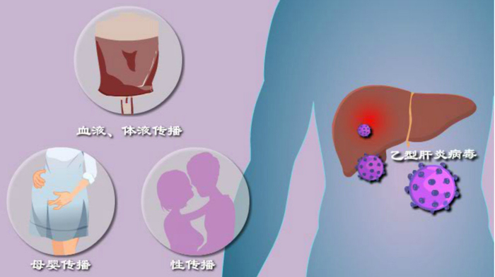 一起吃饭、亲亲、啪啪啪会传染乙肝吗？告诉你该怎样和乙肝病人相处