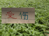 重庆让了李镇全+阿马杜 申花伤特谢拉 盖伊