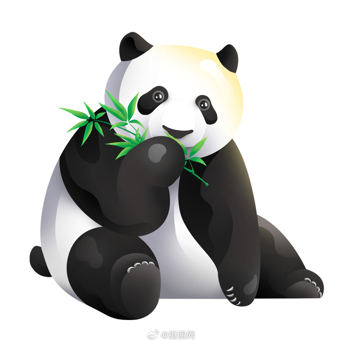 简笔画最近被刷屏对可可爱爱国宝大熊猫的爱又多了一万倍
