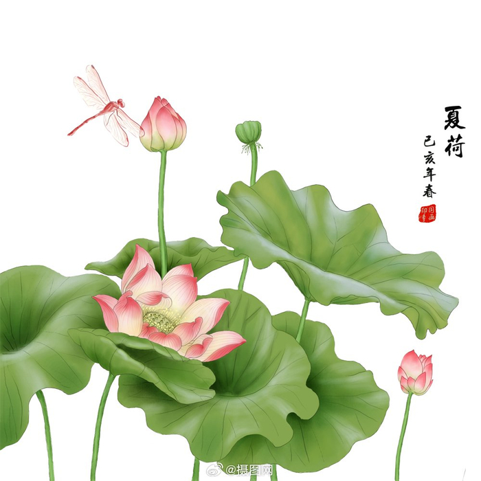 免抠素材 | 夏日荷花 929292 版权素材 by 摄图网