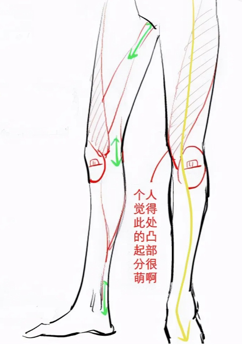 动漫人物腿脚的画法,一篇文章解决如何画腿画脚!