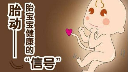这是胎儿胎动的高峰期？还是胎儿求救信号呢？新手妈妈你会分辨么