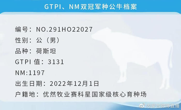 中国种牛历史性突破 优然牧业在呼和浩特培育出挺进美国35强种牛