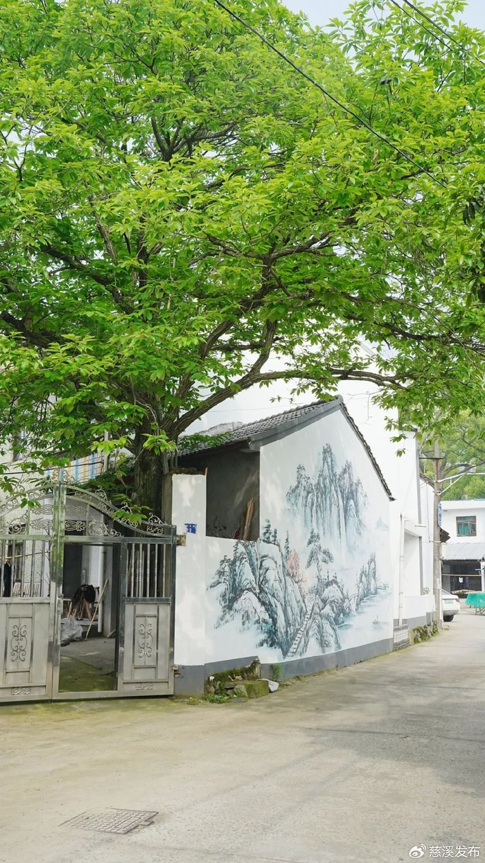 网友乡村行 网眼看振兴|网眼看慈溪走进观海卫镇杜岙村|慈溪|观海卫镇