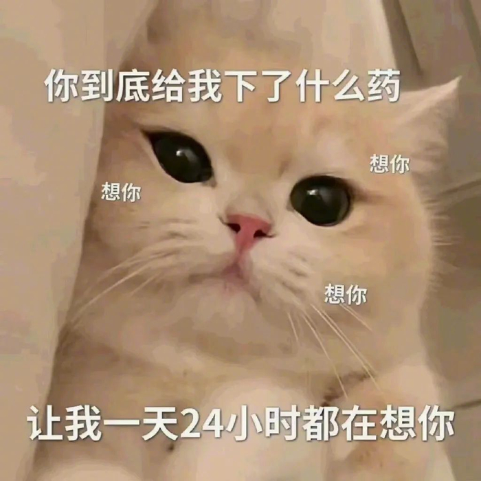 沙雕表情包 拿图请顺便吱一声 很难有动力发图了 更多表情包请来我