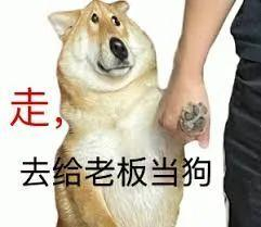 打工人最爽的一次!吸老板的血,让资本家哭唧唧