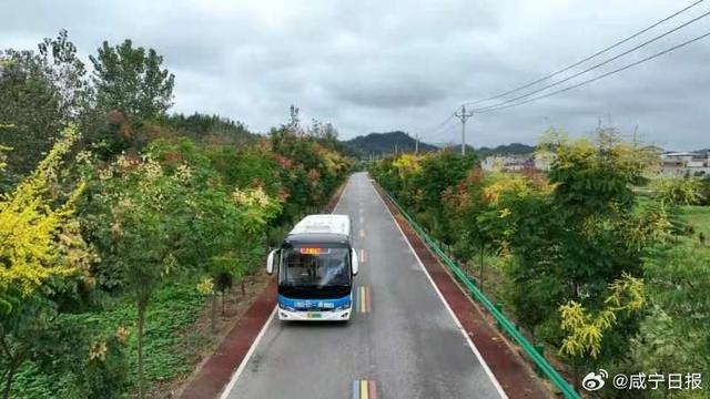 我市新增两个省级全域公交县