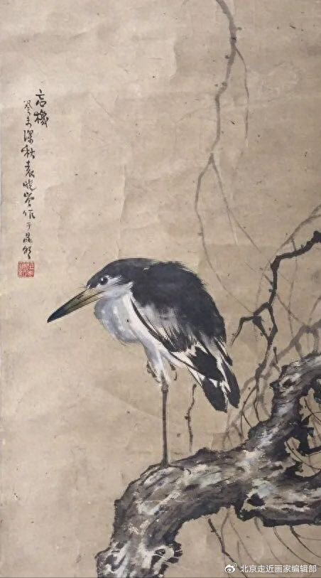 袁晓岑先生的《中国近现代名家大红袍画集》|云南|袁晓岑|孔雀