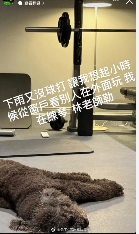 周杰伦ins称被新歌逼疯,透露作品进度__财经头条__新浪财经