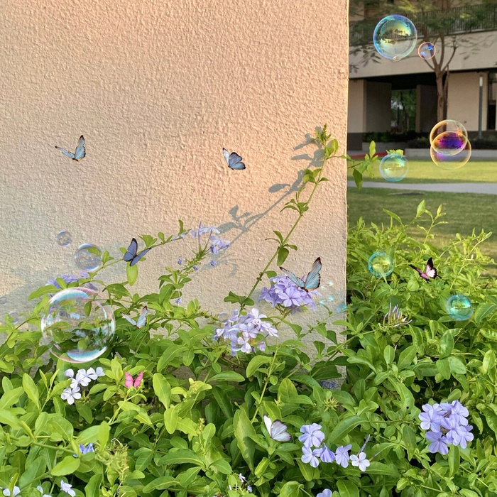 春日氛围感背景图7162