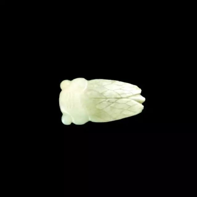 中国古代玉蝉1、新石器时代玉蝉2、商代玉蝉3、西周玉蝉……|玉蝉|西周|新